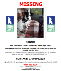 Black & White Jack Russell Terrier Cross Male Went missing on a walk between Gwinear & Angarrack Black & White Jack Russell Terrier Cross Male Went missing on a walk between Gwinear & Angarrack